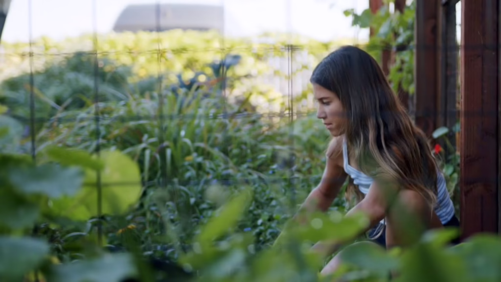 The Importance of Outdoor Learning at WSOC